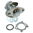 Förgasare Briggs & Stratton Quantum 799868, 498170 - 1