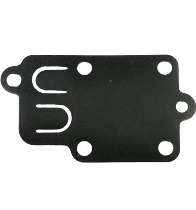 Membran Briggs & Stratton 272538, 270026 - 1