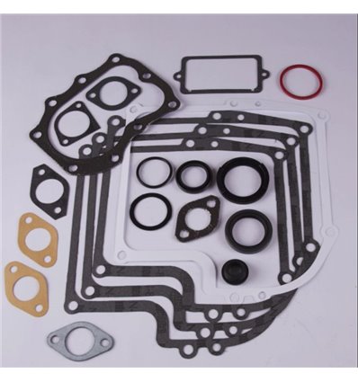 BRIGGS & STRATTON Packningssats 7-8hk, 299577 - 1