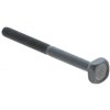 Skruv M5x57mm, 503218201