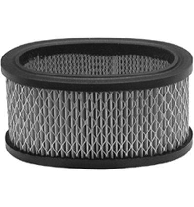 Luftfilter Briggs & Stratton 393725 - 1