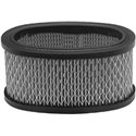 Luftfilter Briggs & Stratton 393725 - 1