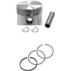 Briggs & Stratton kolvsats 493262 - 1