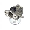 BRIGGS & STRATTON Förgasare 799872 - 1